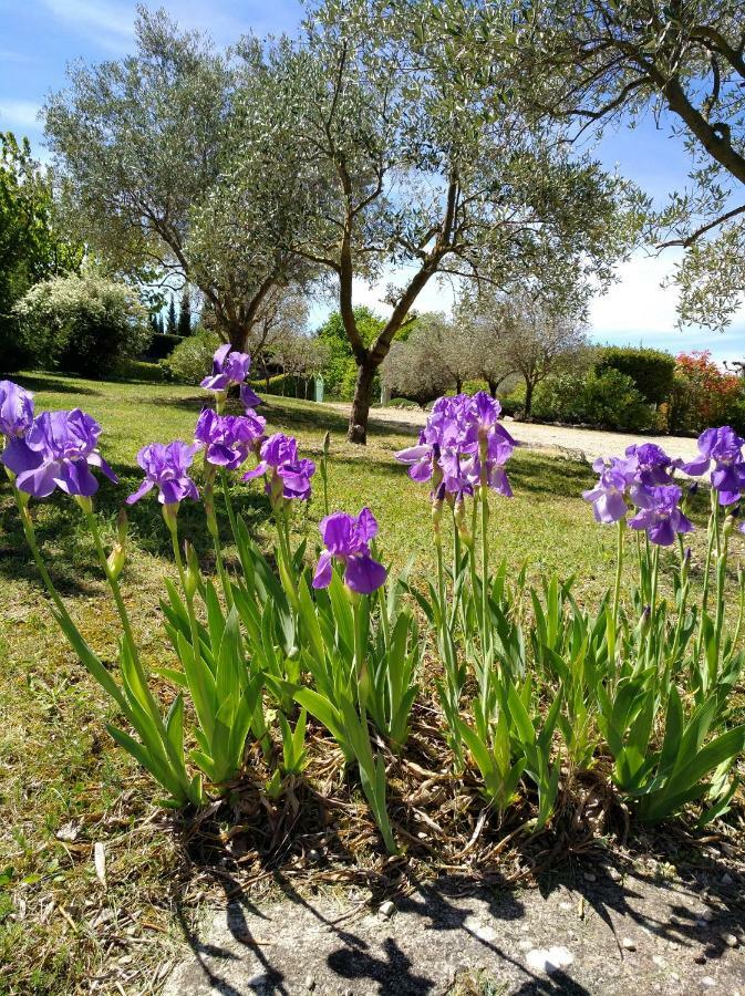 L'Abricotier Villa Malaucene Bagian luar foto